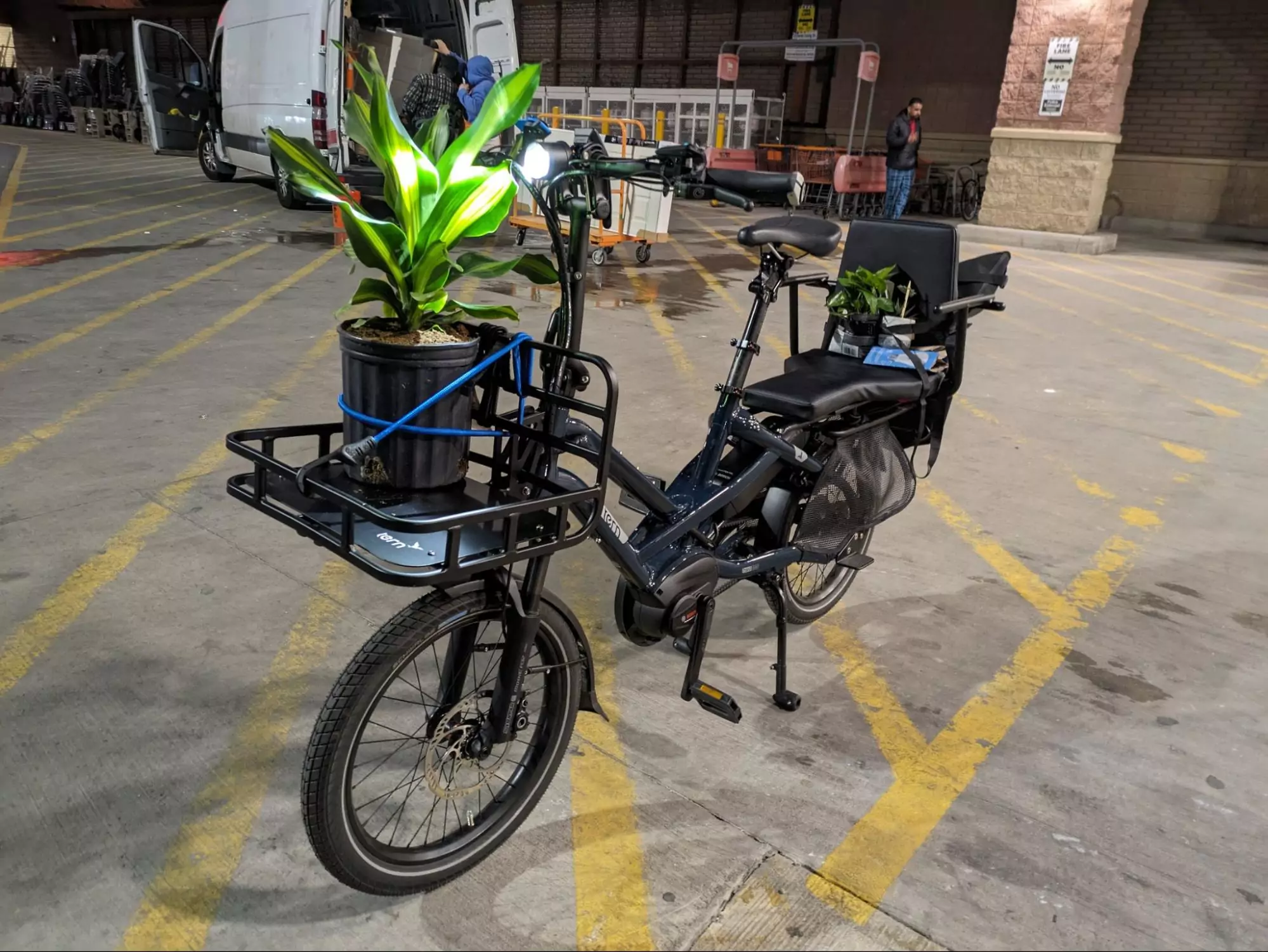 Viktor's Tern with a large plant on the front rack and smaller plants strapped to the back.